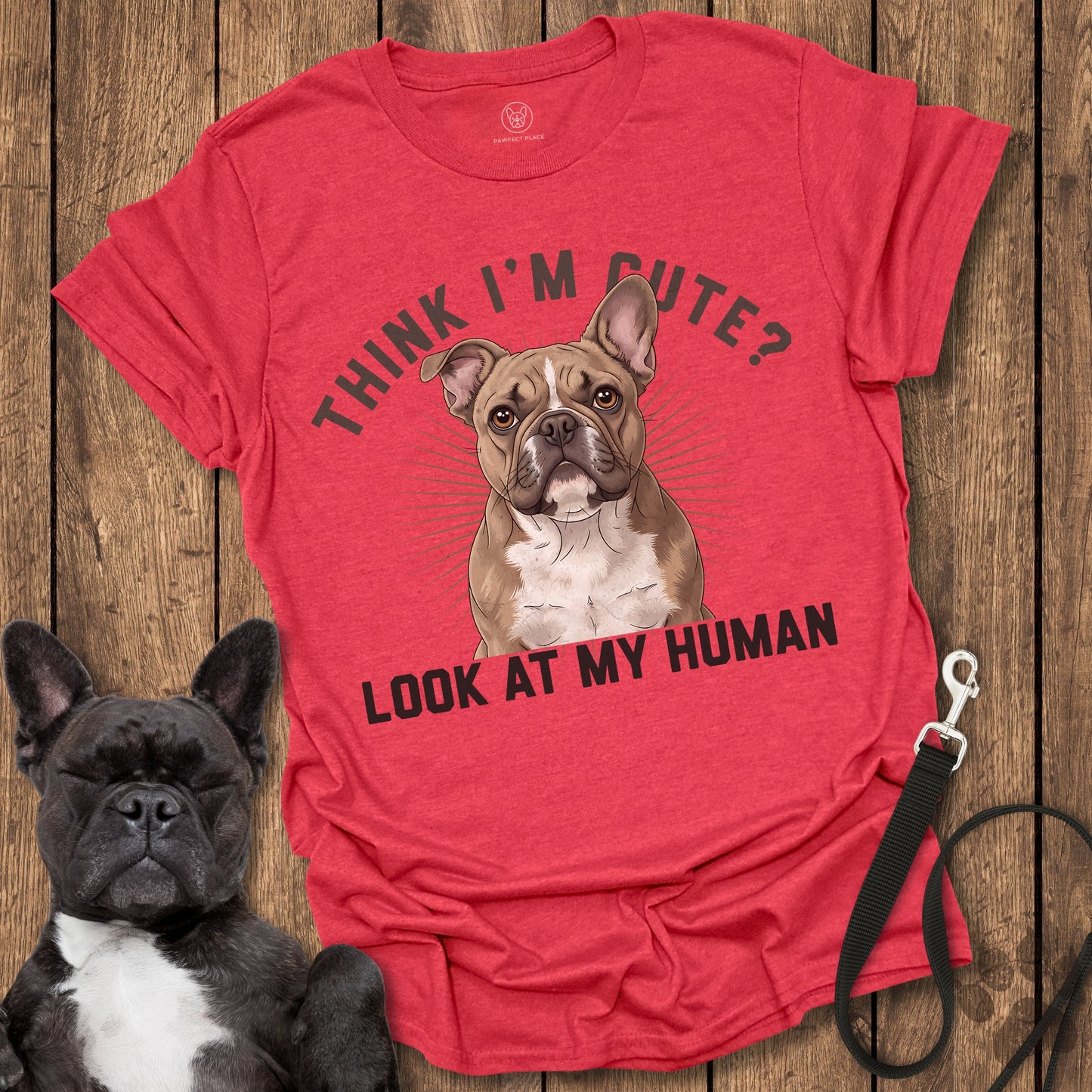 Think I'm Cute? Look At My Human T-Shirt