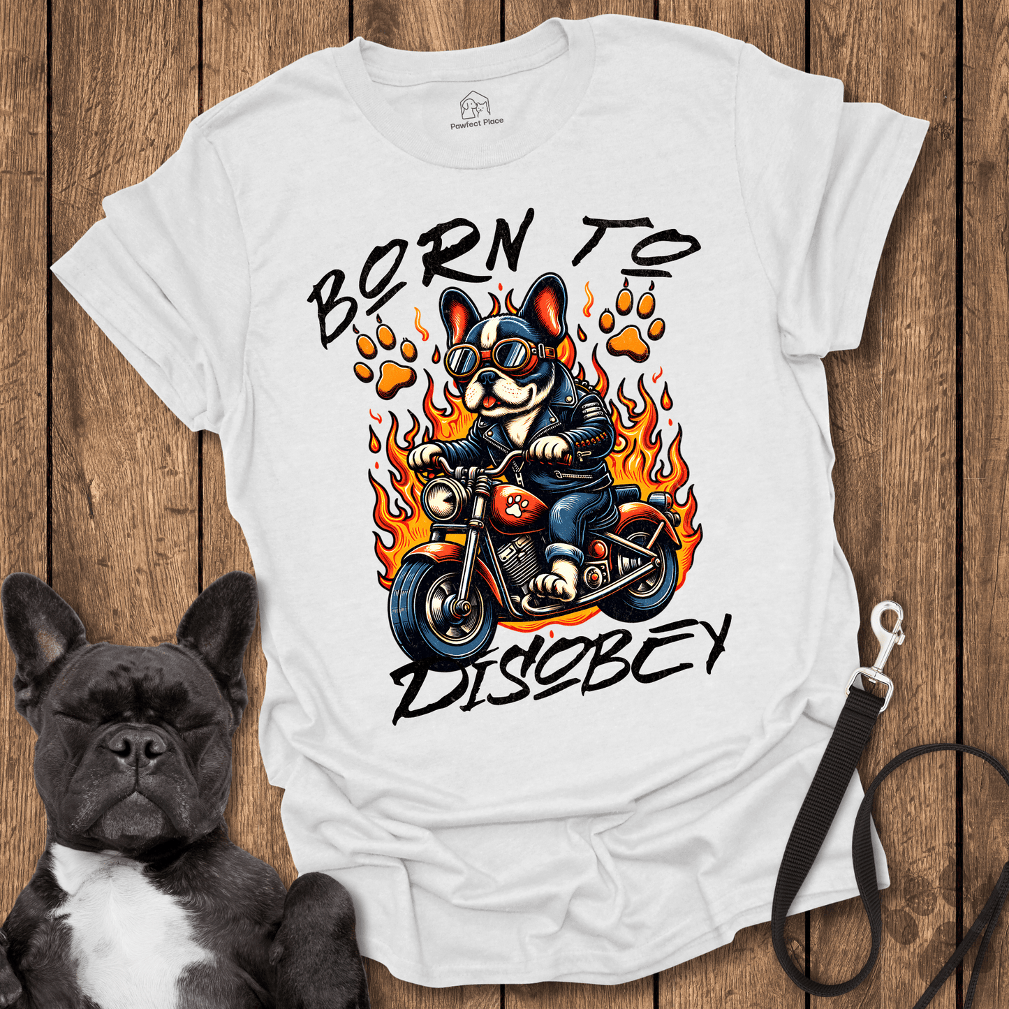 Frenchie T-Shirt, Born To Disobey - Dog Shirt