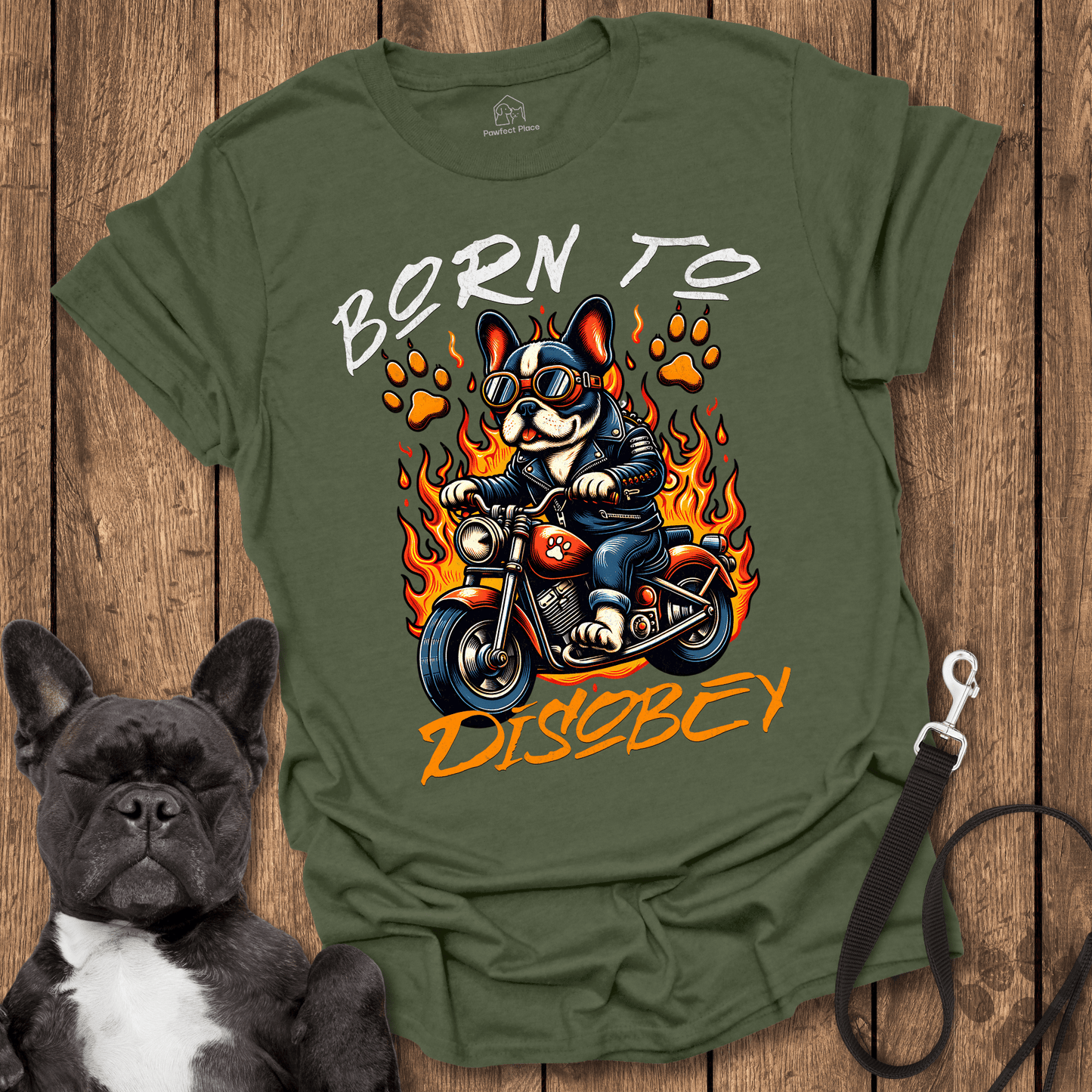 Frenchie T-Shirt, Born To Disobey - Dog Shirt