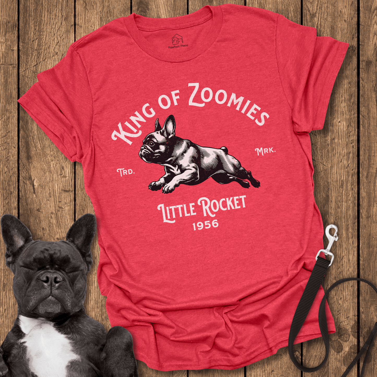 King Of Zoomies, Little Rocket - Frenchie Tee - PawfectPlace