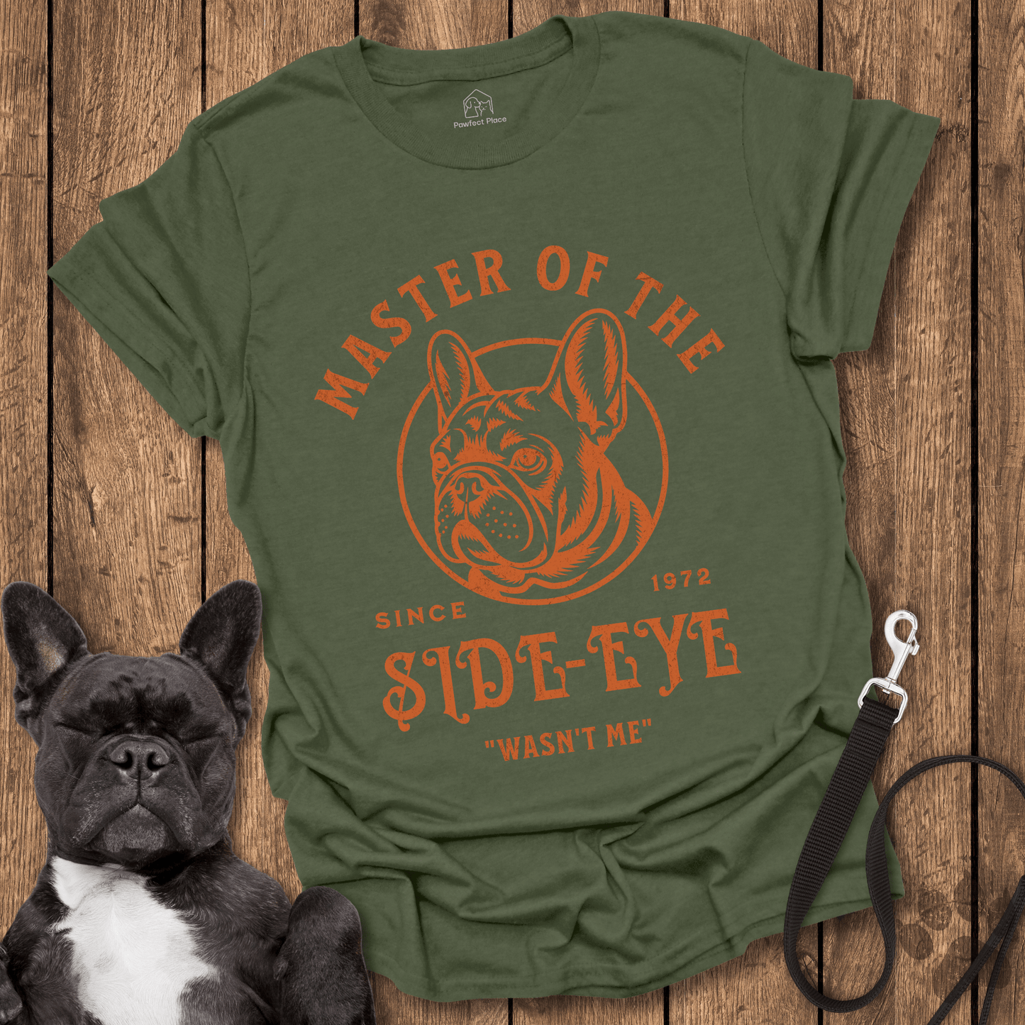 Frenchie T-Shirt, Master Of The Side-eye - Dog Shirt