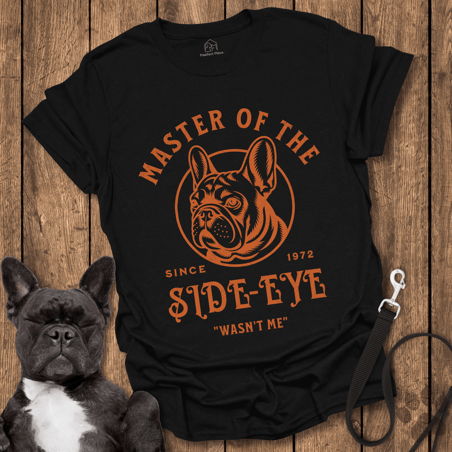 Frenchie T-Shirt, Master Of The Side-eye - Dog Shirt