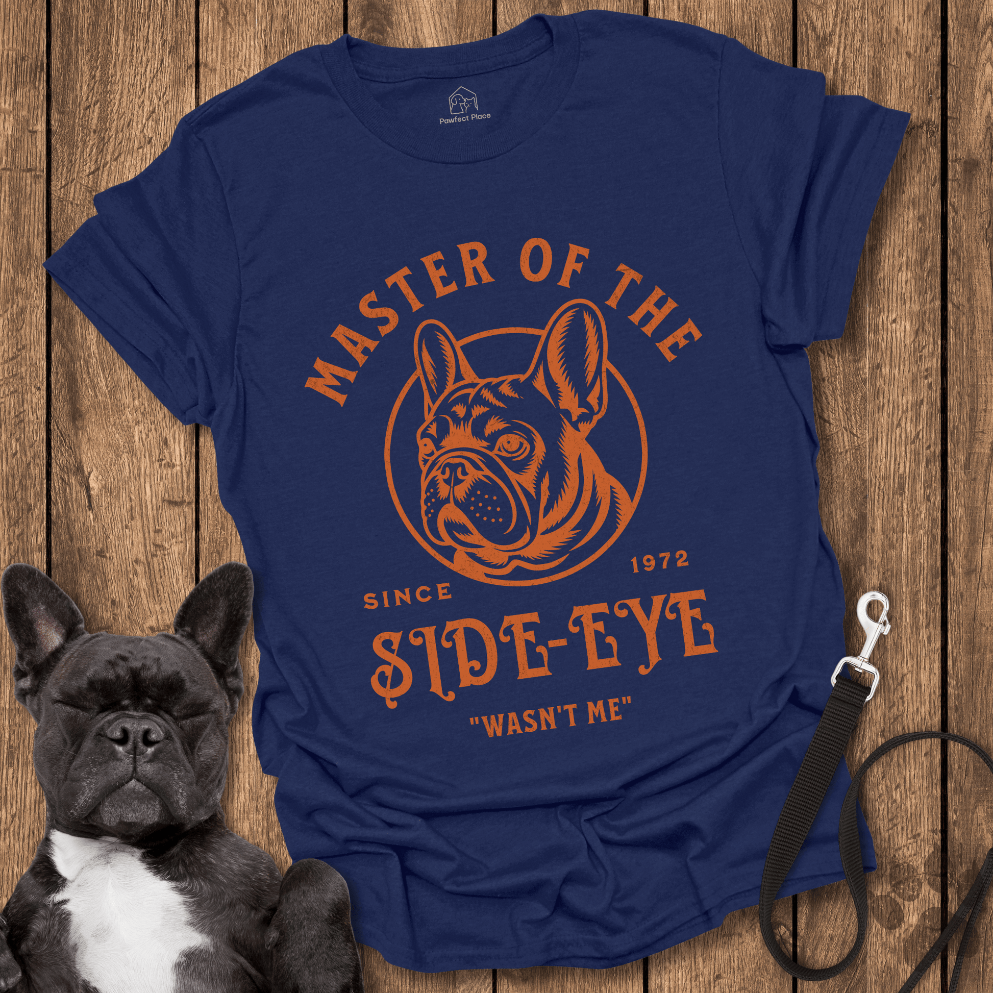 Frenchie T-Shirt, Master Of The Side-eye - Dog Shirt