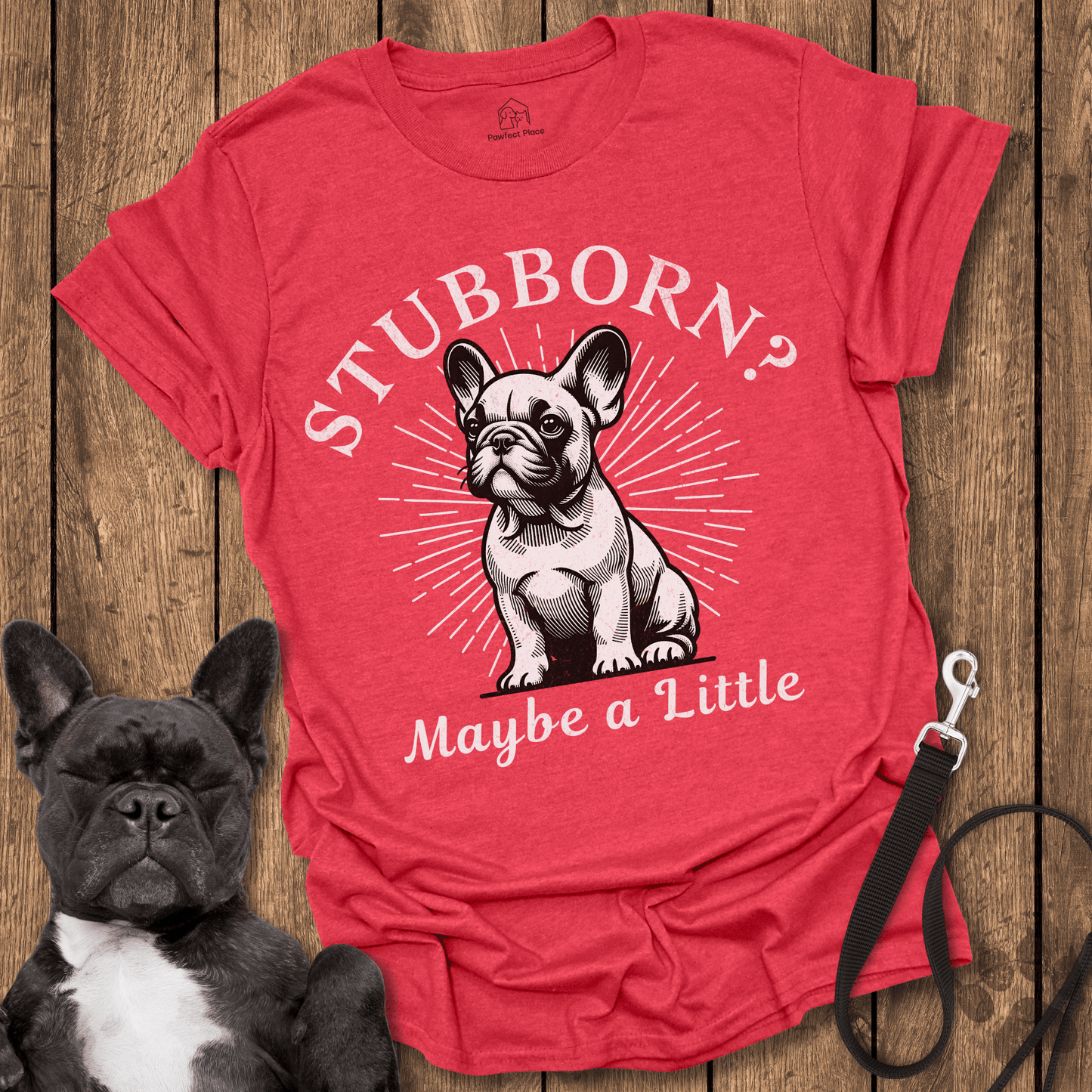 Stubborn? Maybe a Little - Frenchie Tee - PawfectPlace