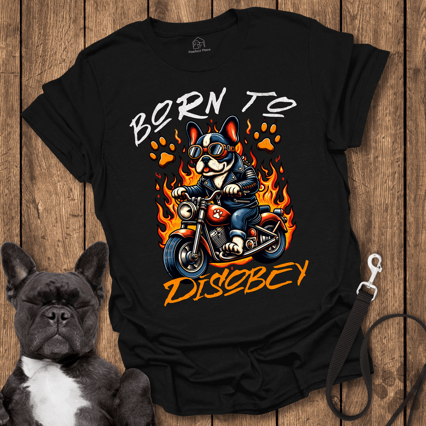 Frenchie T-Shirt, Born To Disobey - Dog Shirt