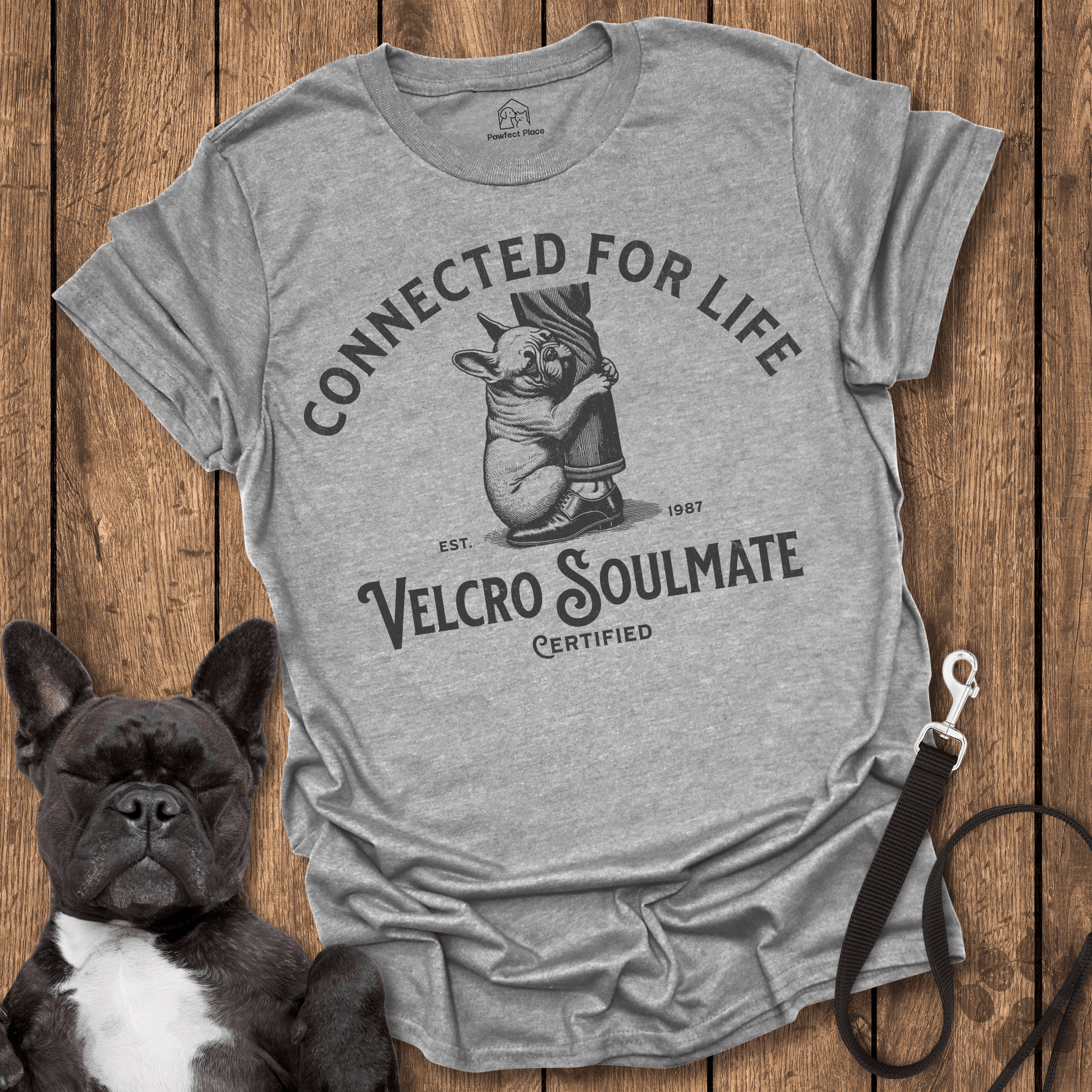 Frenchie T-Shirt, Connected For Life, Dad and Frenchie - Dog Shirt
