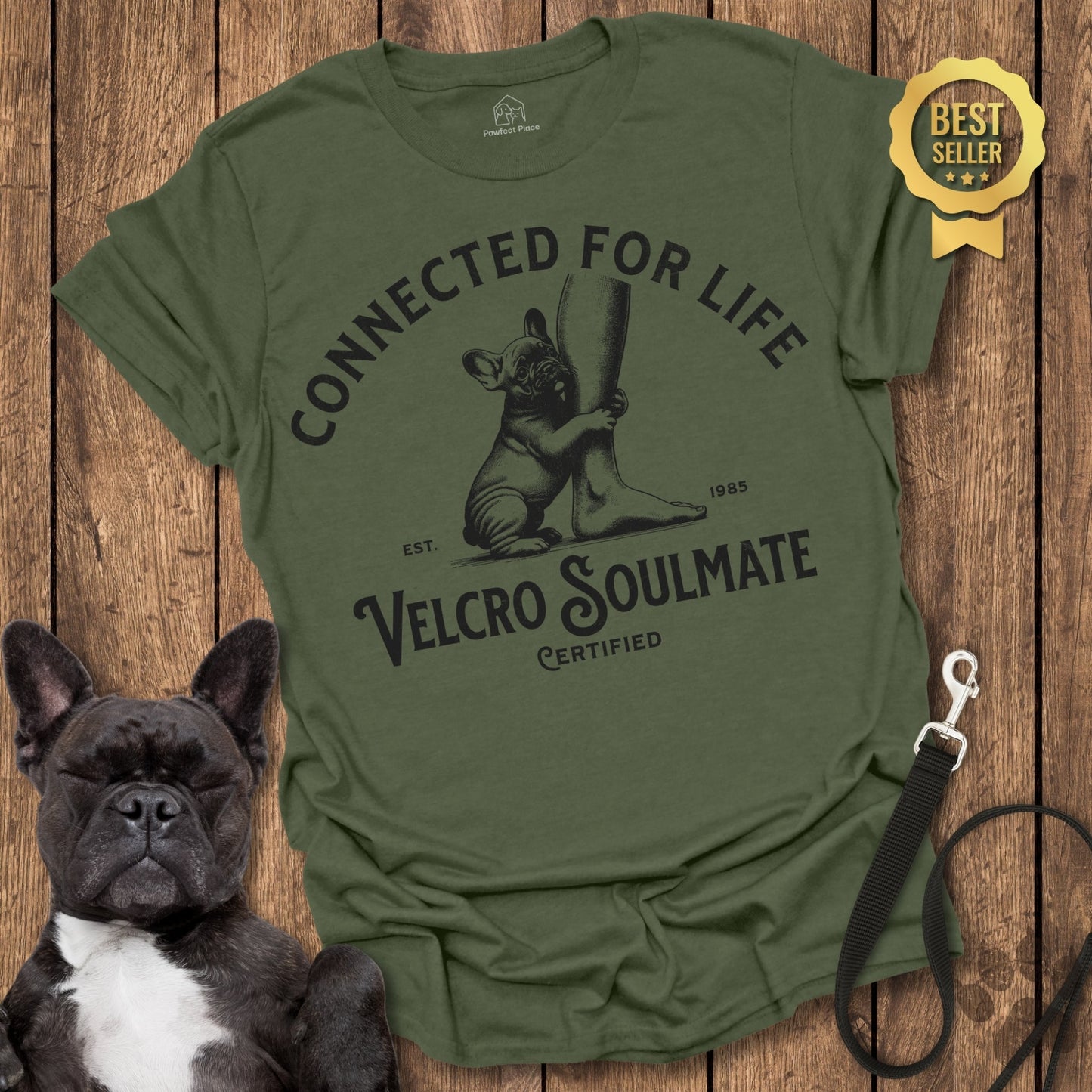 Frenchie, The Velcro Soulmate - PawfectPlace