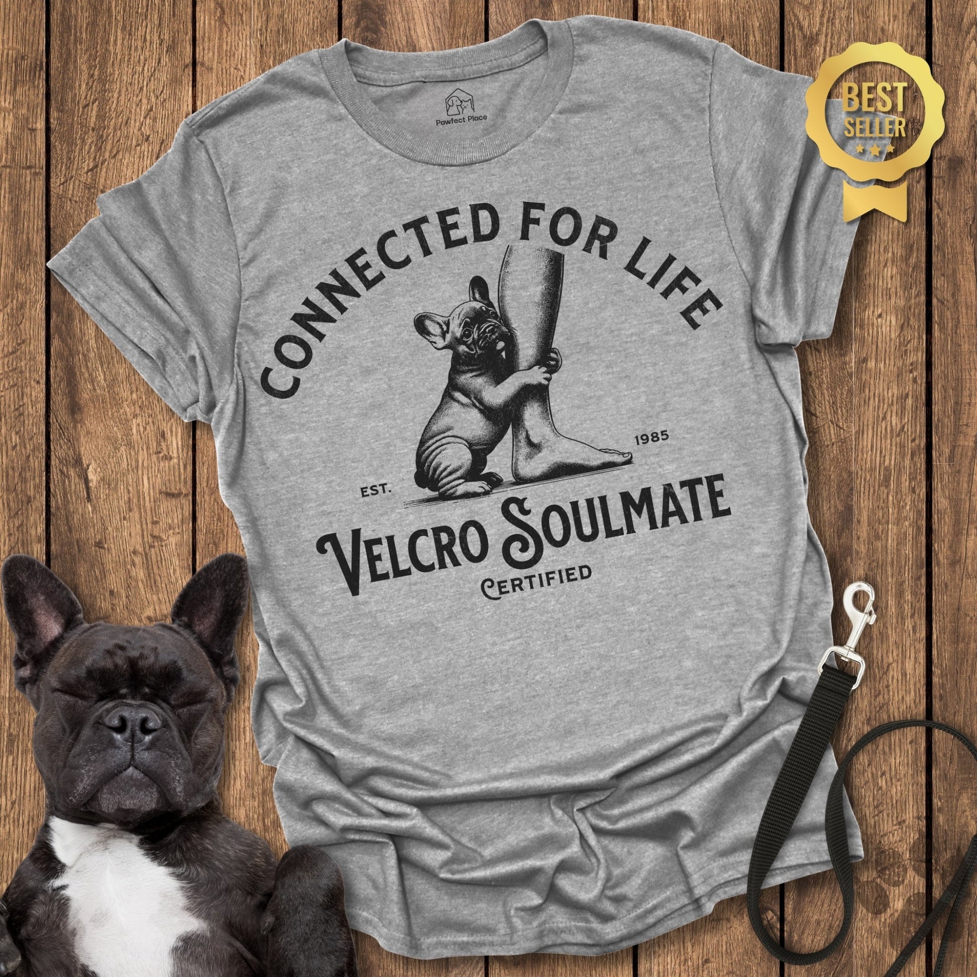 Frenchie, The Velcro Soulmate - PawfectPlace