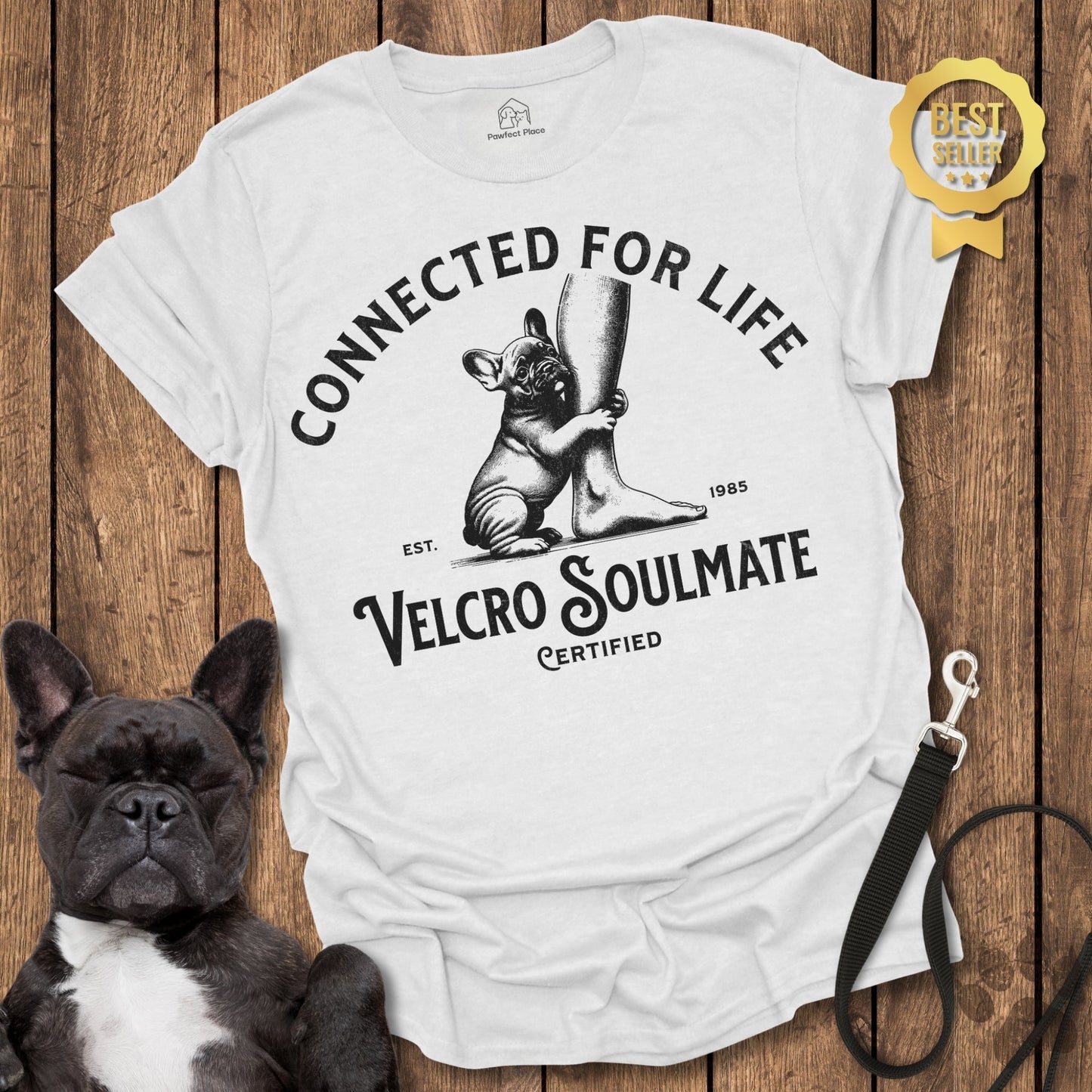 Frenchie, The Velcro Soulmate - PawfectPlace