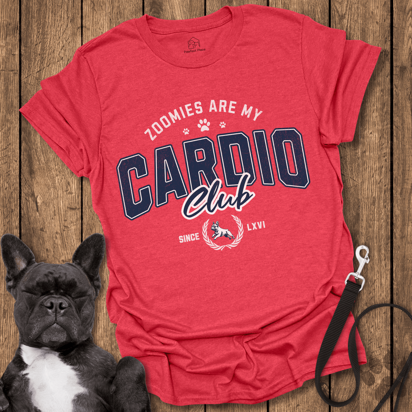 Zoomies Are My Cardio, Club - Frenchie Tee - PawfectPlace